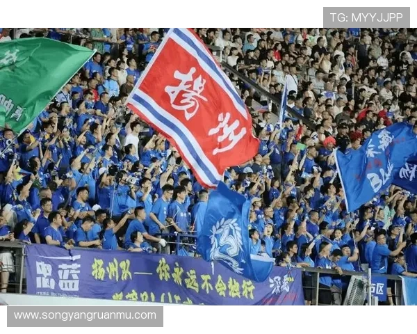 苏超扬州队公开招聘下赛季主教练助教及球员开启新篇章